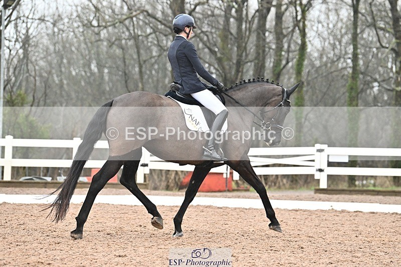 250215-115707-03300 - 165-Elder.Klatzko-Dynasty.Hit