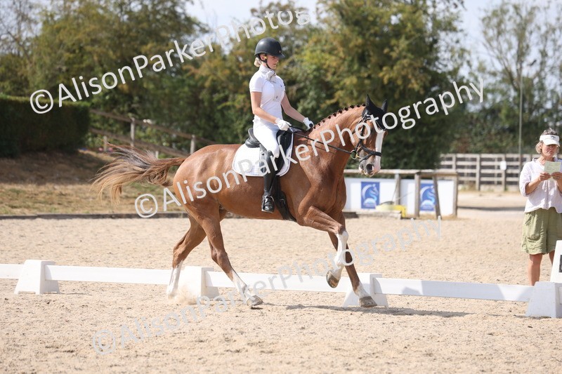 20260815-1135 - Class 6 - Novice 2