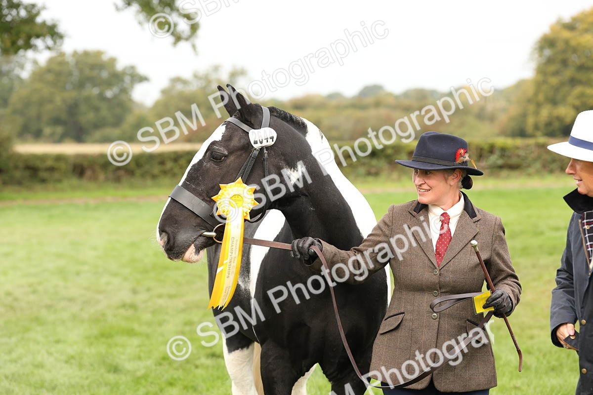 SBM_57533 - S56 - Show Cob in Hand