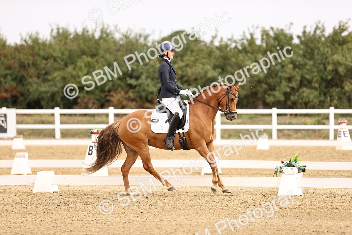 SBM_011698 - Class 1 - Medium 5