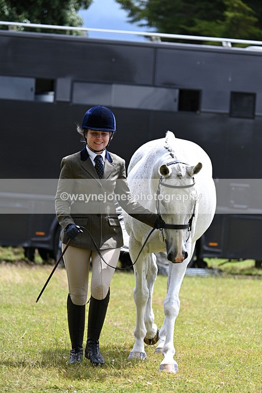 WJ7_6920 - Class 5a Most Handsome Gelding in Hand