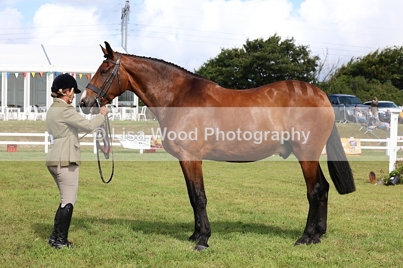 3E7A9503 - Class 4: Rising Star M/H Hunter