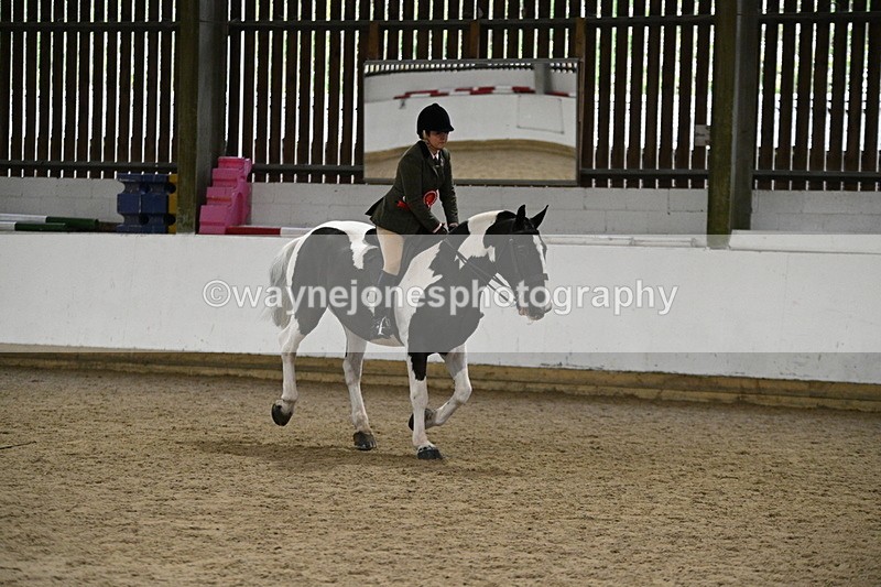 WJ7_3736 - Class 16 Ridden Coloured/ Odd Coloured