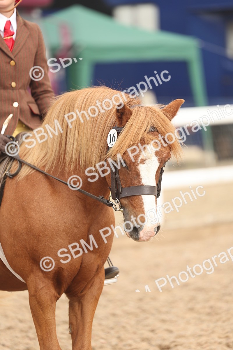 SBM_01990 - Class 14 - Ridden M&M Wildcard