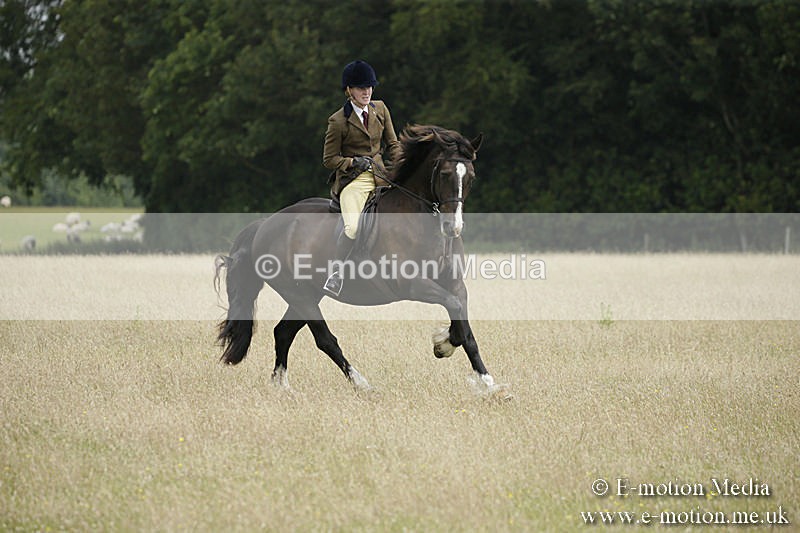 B230619-0469 - Bourne Valley Riding Club Summer Show 23/06/19