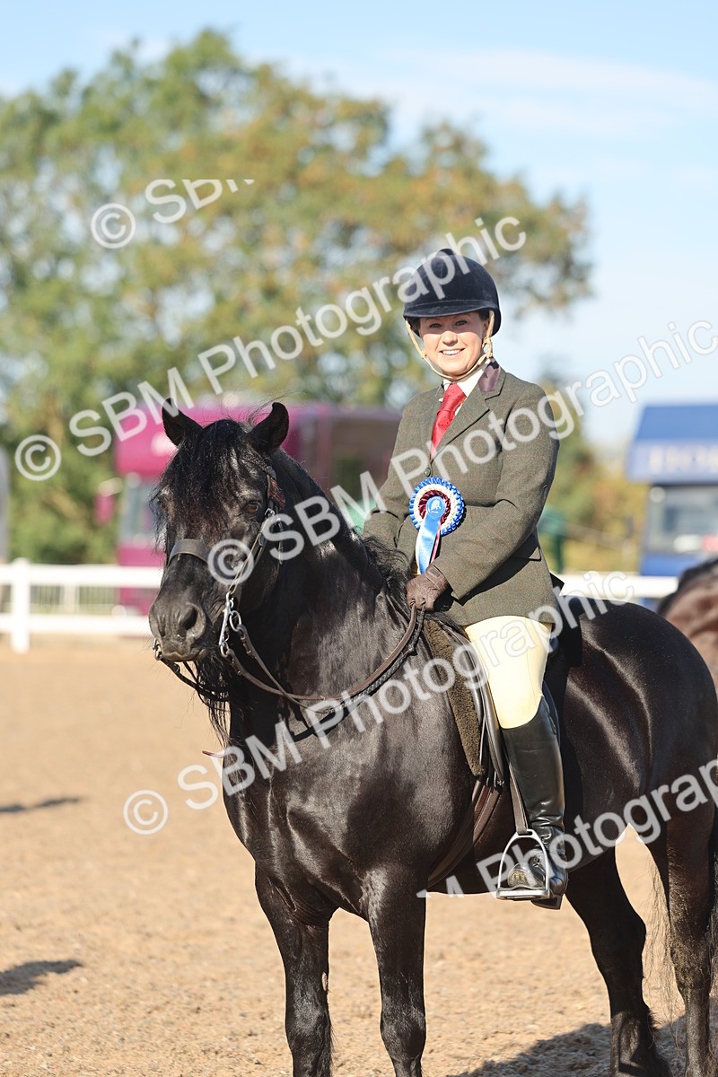 SBM_11123 - Class 302 - Ridden M&M Large Breeds