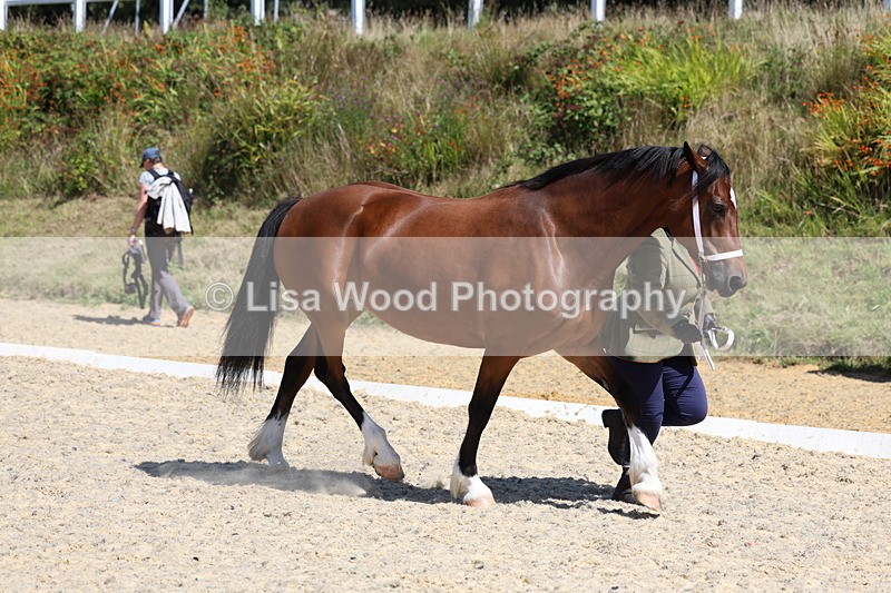 3E7A9559 - Class 32: Best Grass Kept