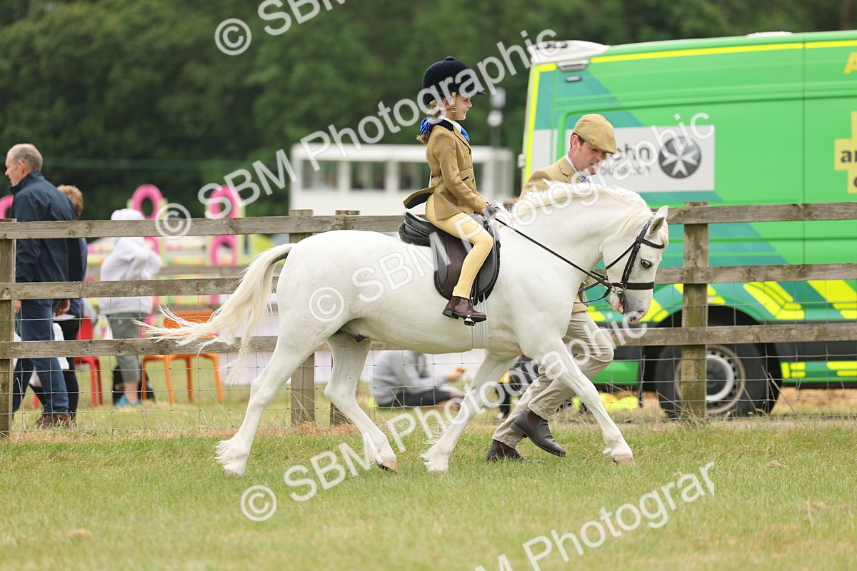 SBM_06704 - Class 74-75 - M&M Lead Rein and First Ridden Pony