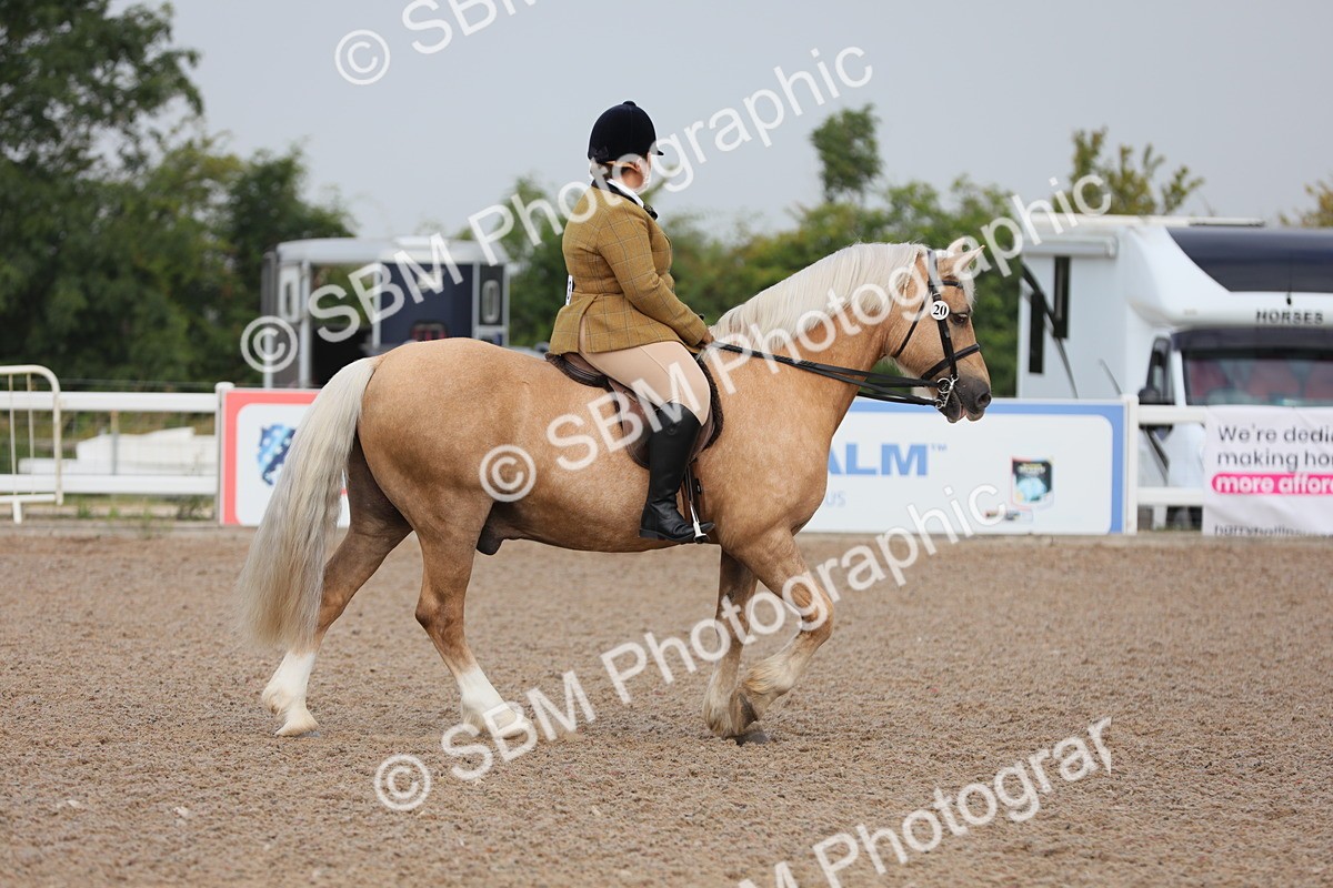 SBM_09970 - Class 302 Ridden M&M -Large Breeds