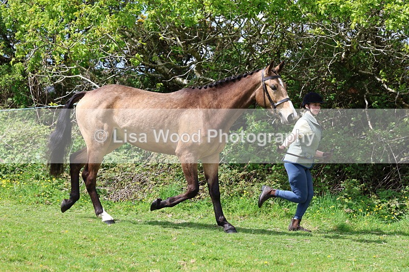 3E7A0460 - Class 20: Sports Horse