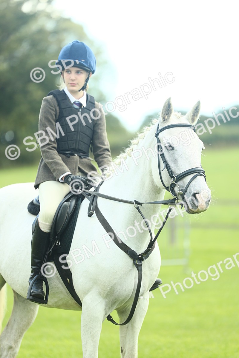 SBM_42228 - S29 - Novice & Newcomers Working Hunter Pony