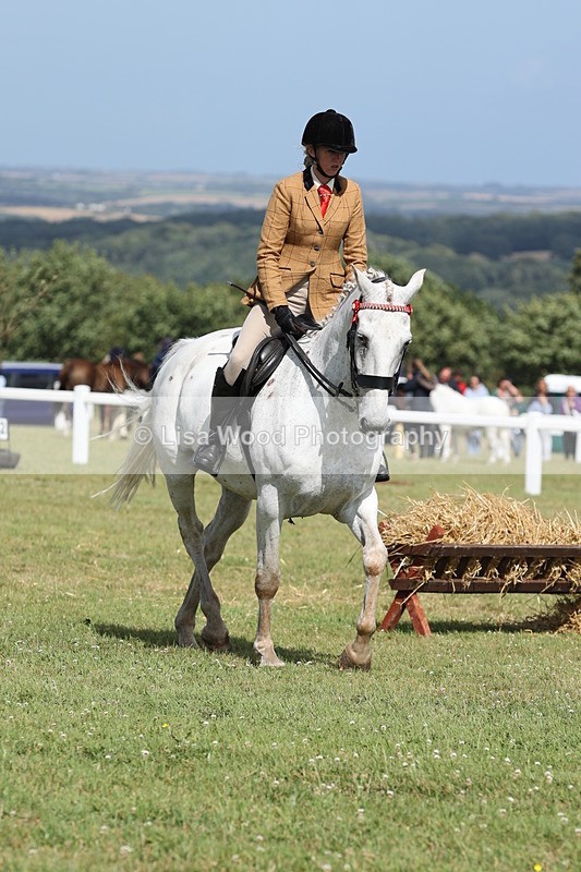 JPP_2485 - Class 20: Working Hunter 70cm