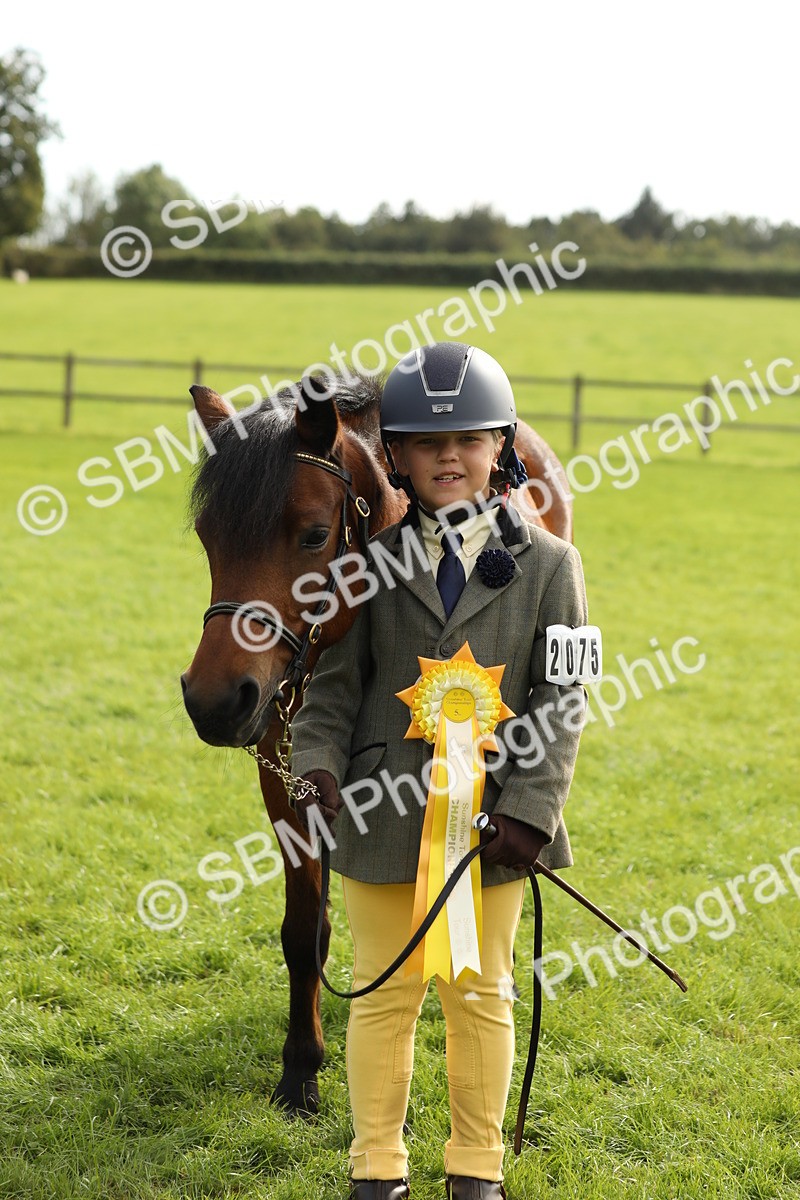 SBM_68741 - S40 - Junior Handler 9-12 Years