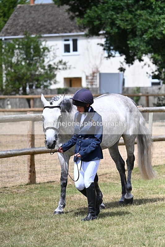 WJ7_1764 - Class 4a Prettiest Mare 14.2hh and over hand