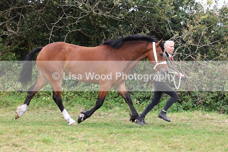 3E7A4373 - Class 15: Three Year Olds