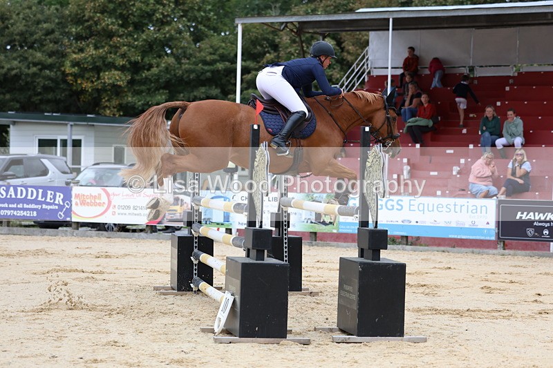 3E7A3101 - Class 8: Senior Newcomers/1.10m open
