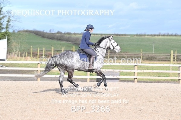 BPP_3266 - CLASS 2  Club/ Unaffiliated 80cms Open