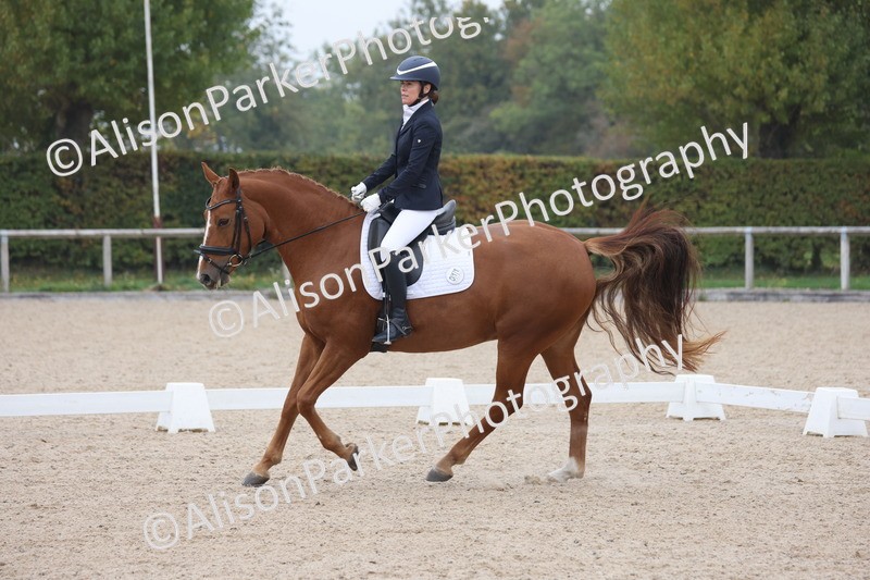 20251012-0665 - Class 5 - Elementary 5