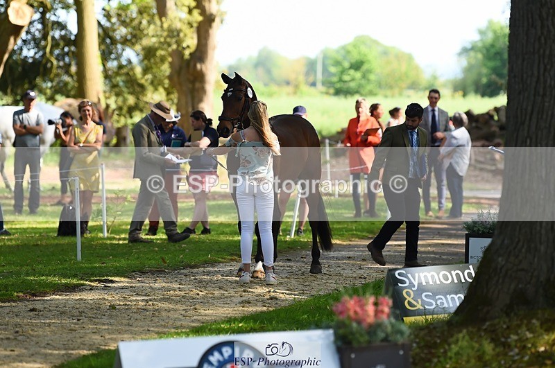 230524-170720-01291 - 154-GELUK_G-Molly_Adams-WEDTrotUp+DR