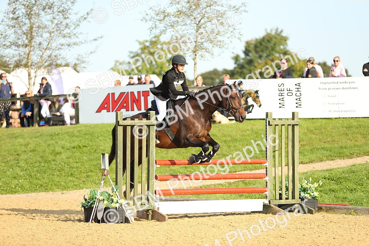 SBM_60226 - J41 - Grand Tour 95cm Championship