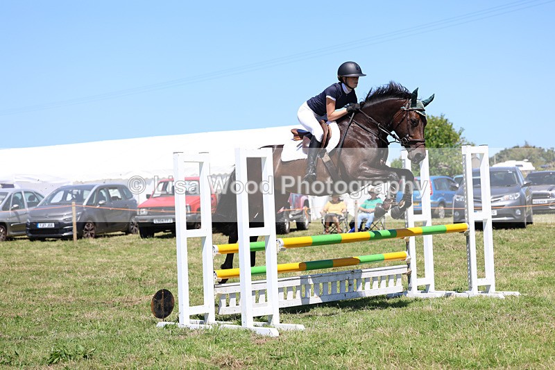 3E7A5512 - Class 9: Senior British Novice/90cm open