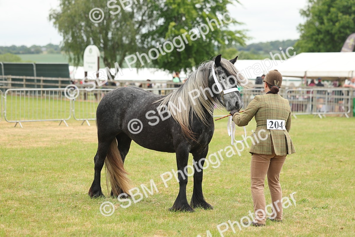SBM_05089 - Class 50-57 - M&M Welsh Pony In Hand