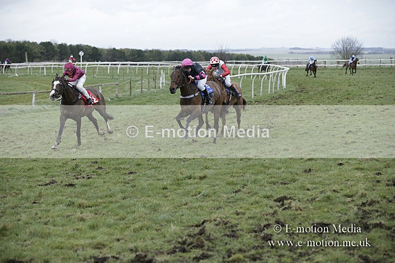 PtP 150320 0868 - New Forest Point-to-Point Larkhill 15/03/20
