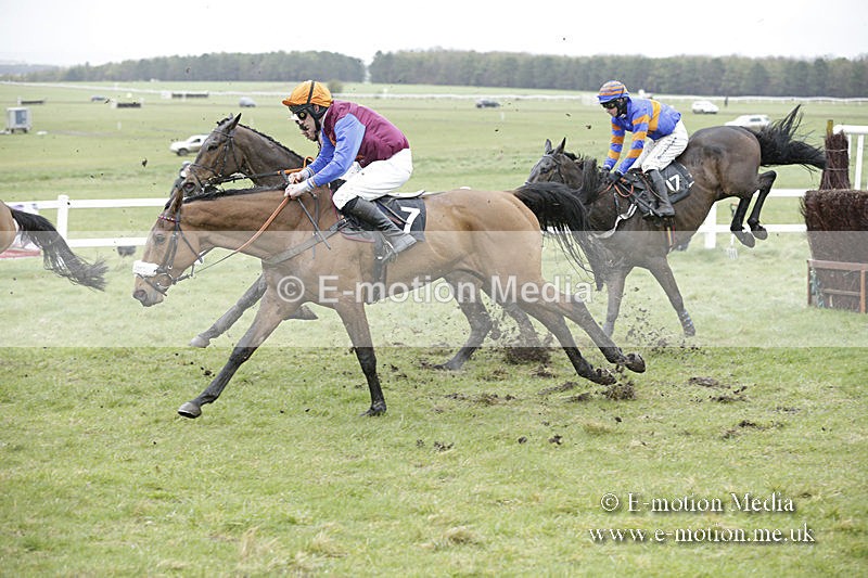 PtP 150320 0211 - New Forest Point-to-Point Larkhill 15/03/20