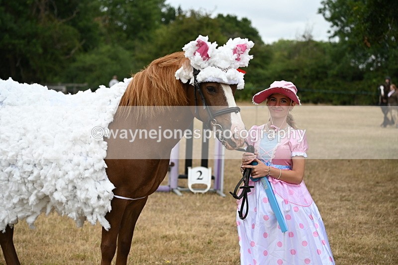 WJ6_8936 - Class 11 Fancy Dress