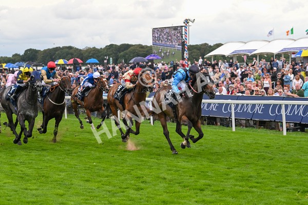 220825-Race 4-Asfoora-7527 - Race 4 3.35pm Coolmore Wootton Bassett Nunthorpe Stakes