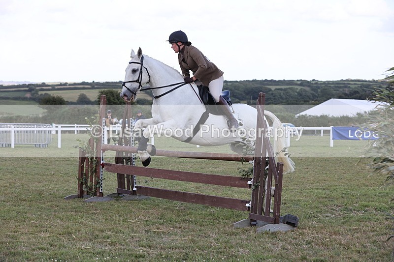 JPP_3622 - Class 24: Open Working Hunter