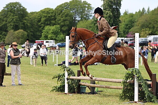 IMG_2960 - Working Hunter