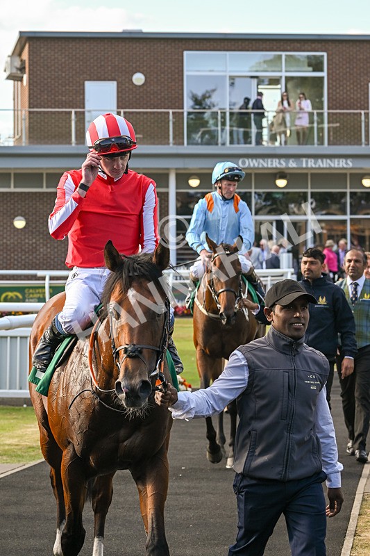 160824-Race 3-Force And Valour-9102 - Race 3