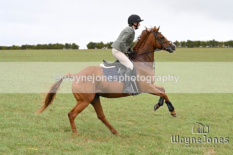 WJ7_1087 - Berks & Bucks Hound Exercise Blewbury 13-09-26