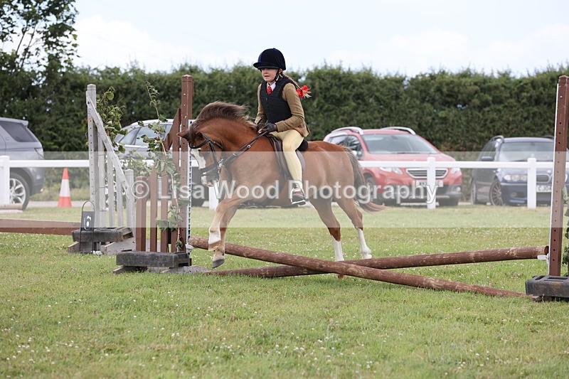 JPP_1752 - Class 18: Tiny Tots Working Hunter Pony