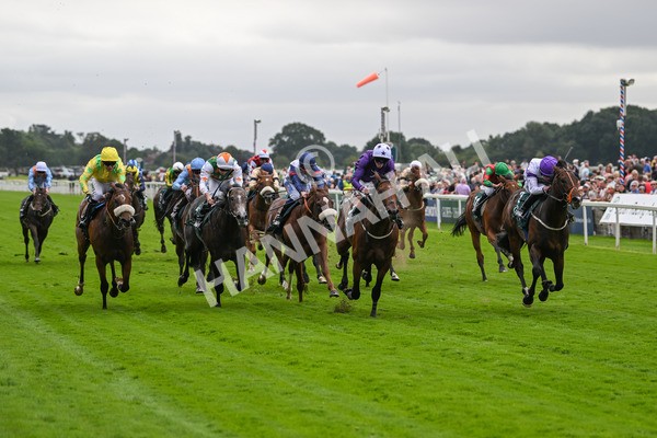 220824-Race 2-Diligently-6816 - Race 2 2.25pm Harry's Half Million By Goffs Premier Yearling Stakes