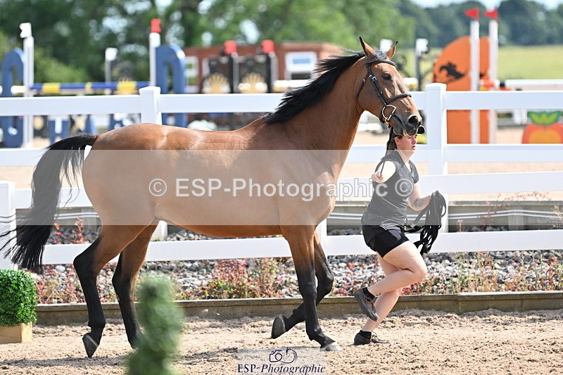 240717A-155211-03120 - Trot Up 3pm to 4pm