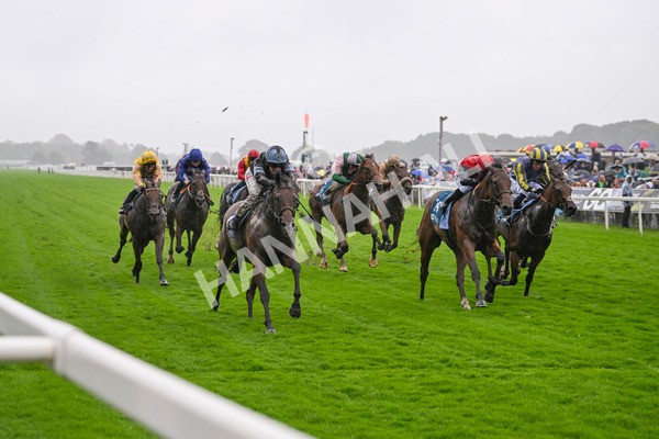 080924-Race 2-Duran-8966 - Race 2 2.15pm Fine Details Vehicle Valeting Handicap