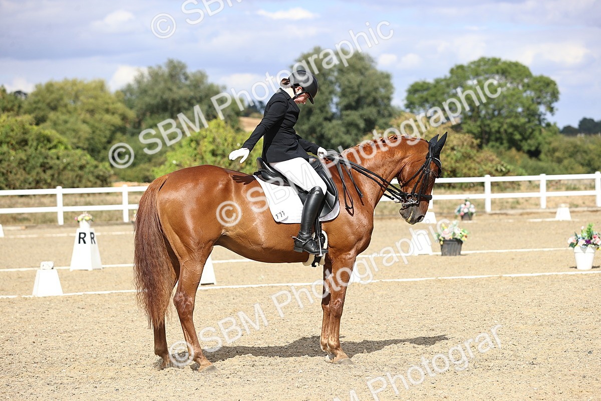 SBM_015265 - Class 5 - E5 Bronze 14.42.15.54