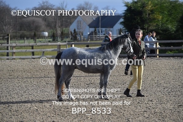 BPP_8533 - RING 2 - M&M