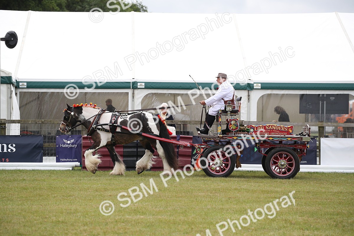 SBM_07044 - Class 16 - Light Trade