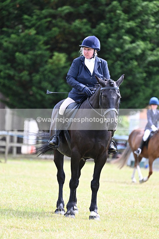 WJ7_9814 - Class 8 Ridden Veterans
