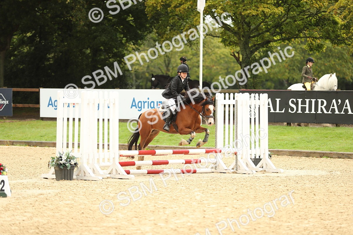 SBM_34256 - J60 Clear Round 50cm