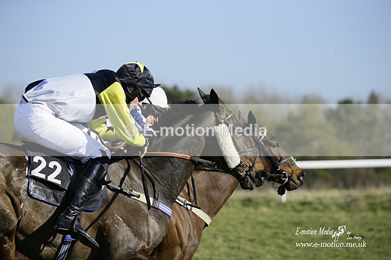 PtP 270222 116 - South & West Wilts Point-to-Point Larkhill 27/02/22