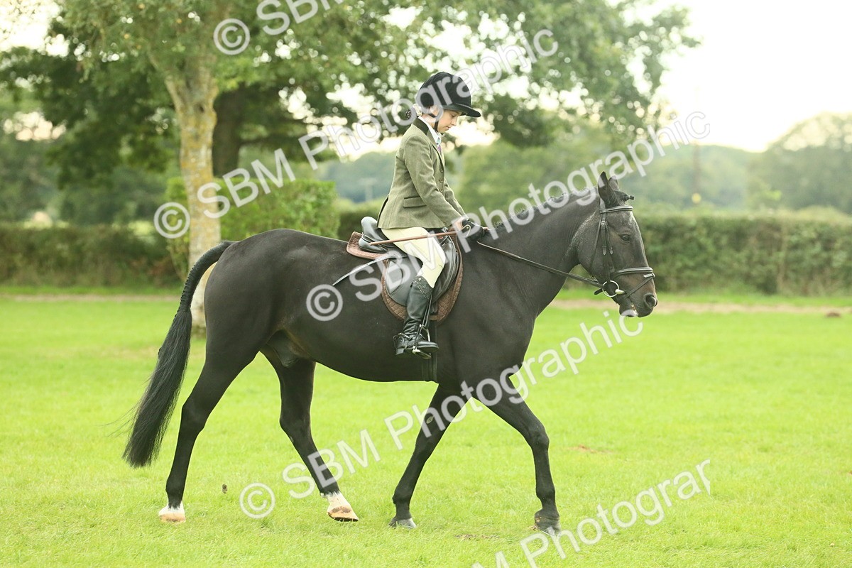 SBM_73921 - S 61 - Show Pony & Show Hunter Pony Ridden