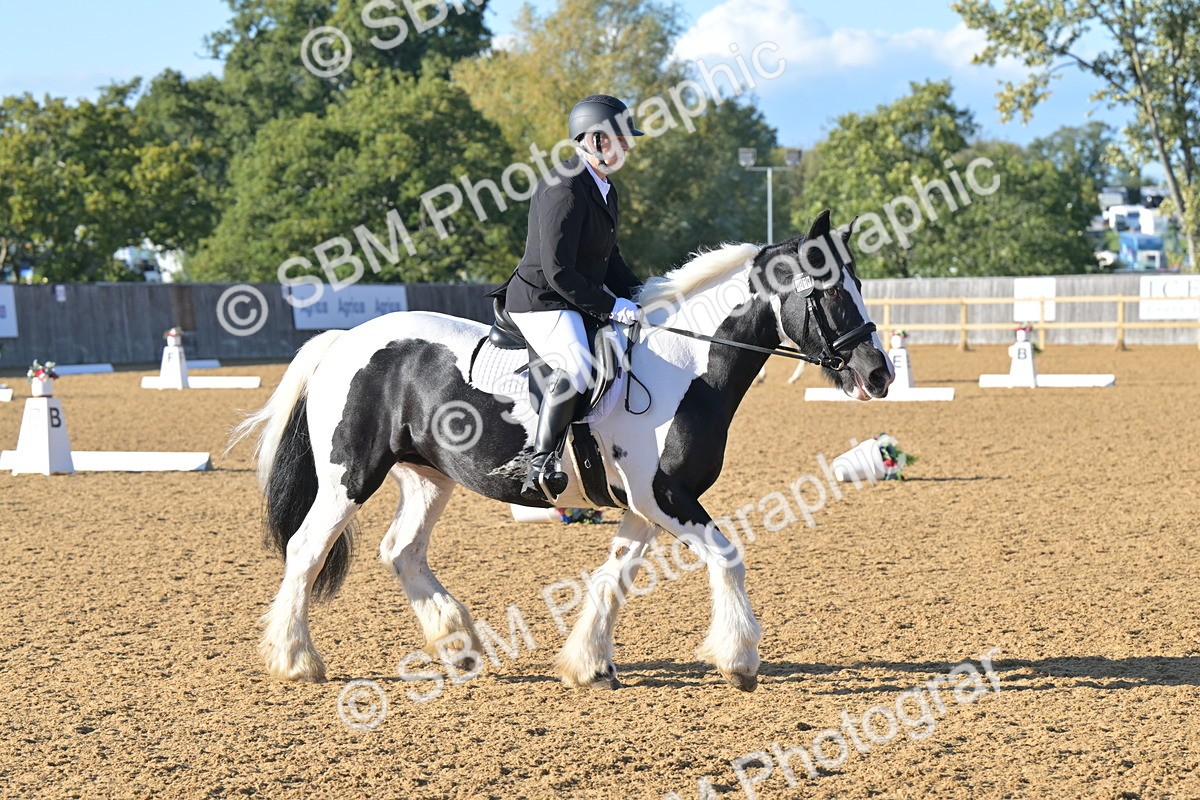 SBM_13012 - D3 - Small Tour Championship Intro 3