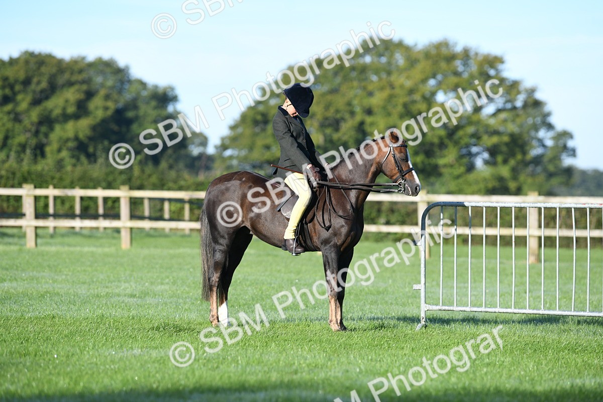 SBM_33933 - S16 - Condition & Turnout - Ridden