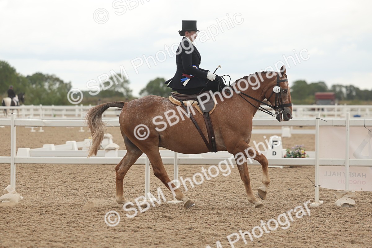 SBM_06308 - Class 23 - SSA - Classical