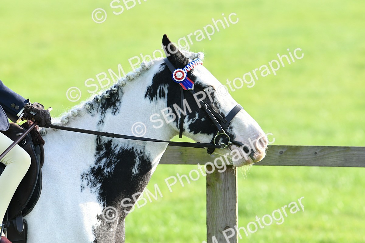 SBM_52366 - S22 - 1st Ridden Show & Show Hunter Pony
