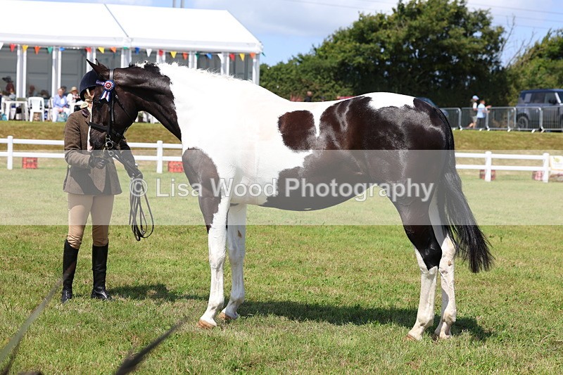 3E7A1219 - Class 8: Open Riding Horse/Hack